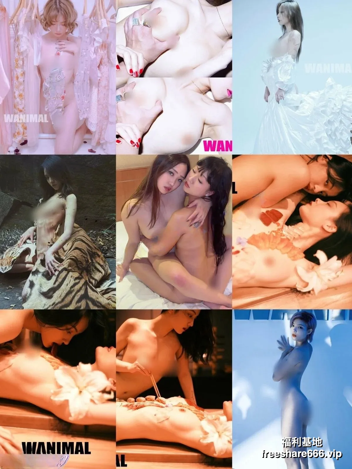 摄影网红WANIMAL王动2025作品整理3.29G