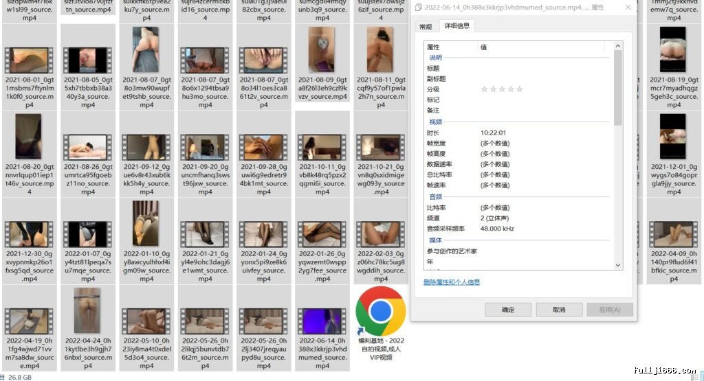 OF超S身材风韵人妻bibicouple onlyfans各种多P被玩合集191V/54V/26.9G