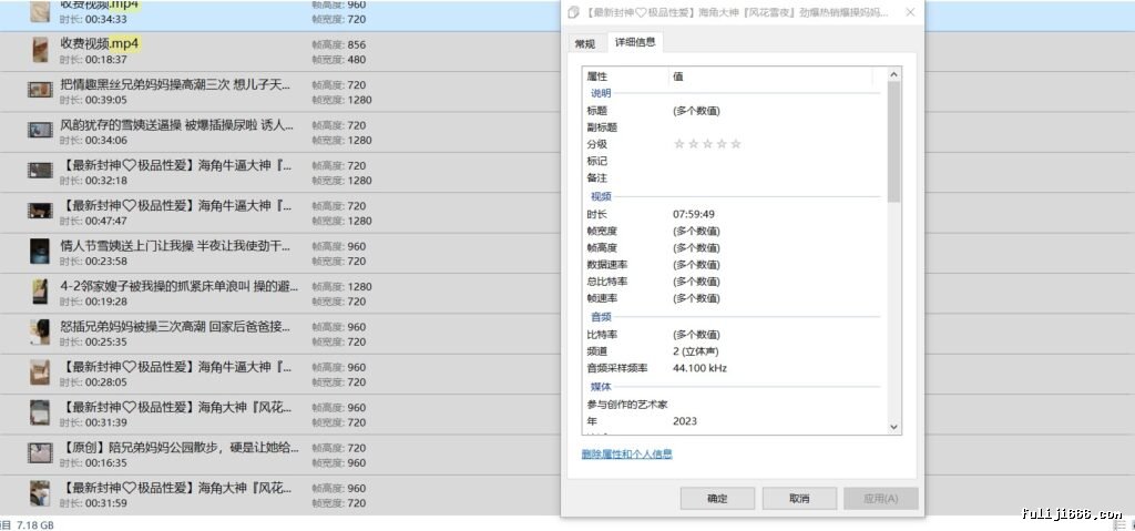 海角大神风花雪夜收费视频合集18.3G