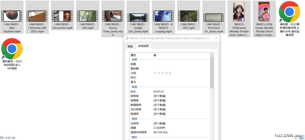 推特NEKO和土豪啪啪视频合集11V/4G