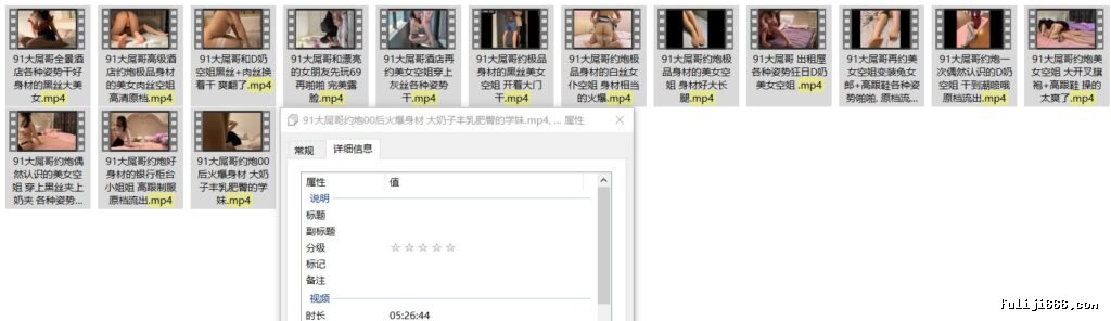 91大屌哥视频合集15V/18G