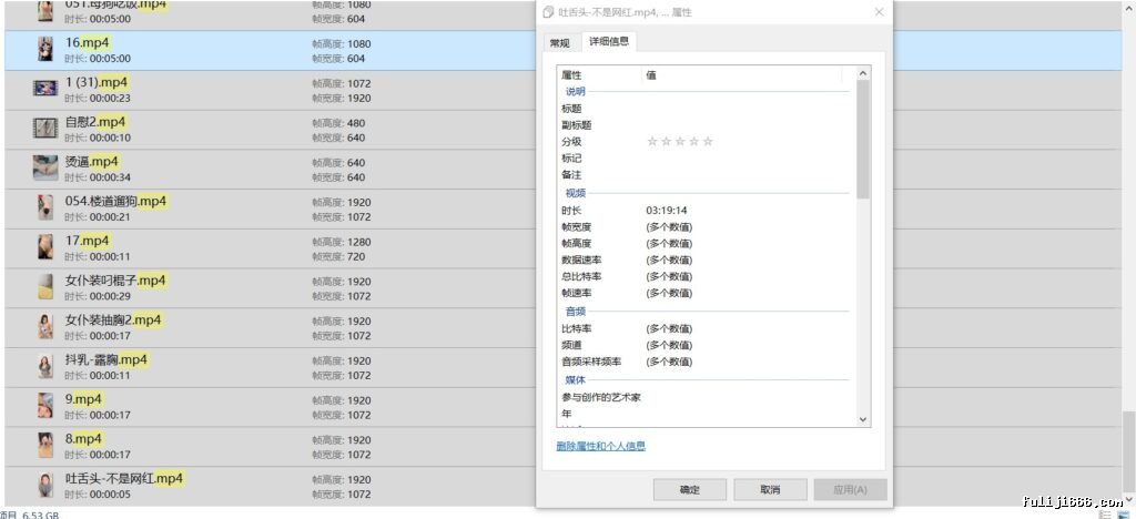 推特极品母狗辉夜姬全套付费资源303P/75V/7.53G