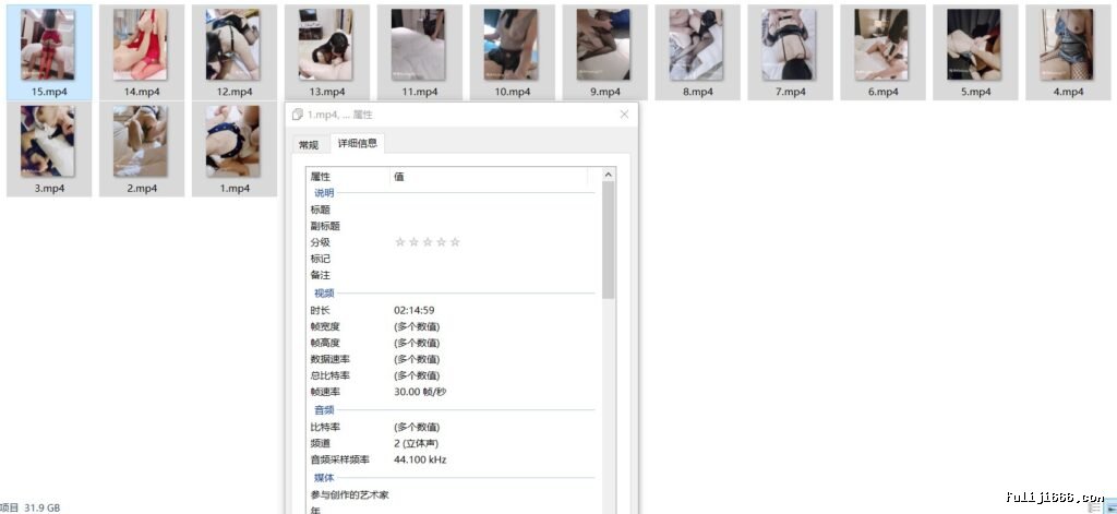 推特淫妻博主飓风内部视频47V/34.9G