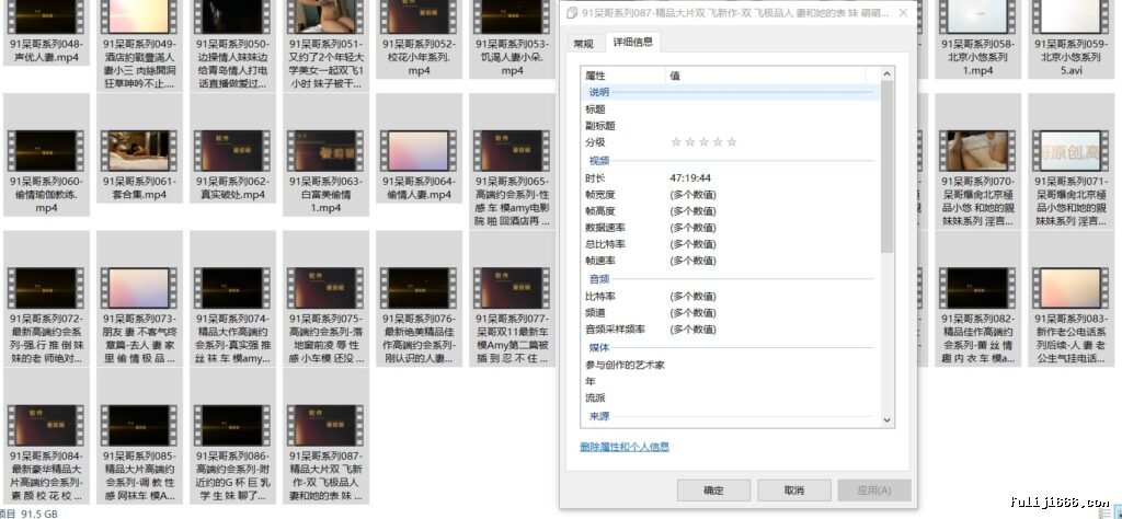 91呆哥最全合集88V/91.5G