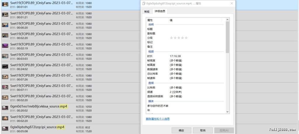 约炮大神Svet19合集159V/24.1G