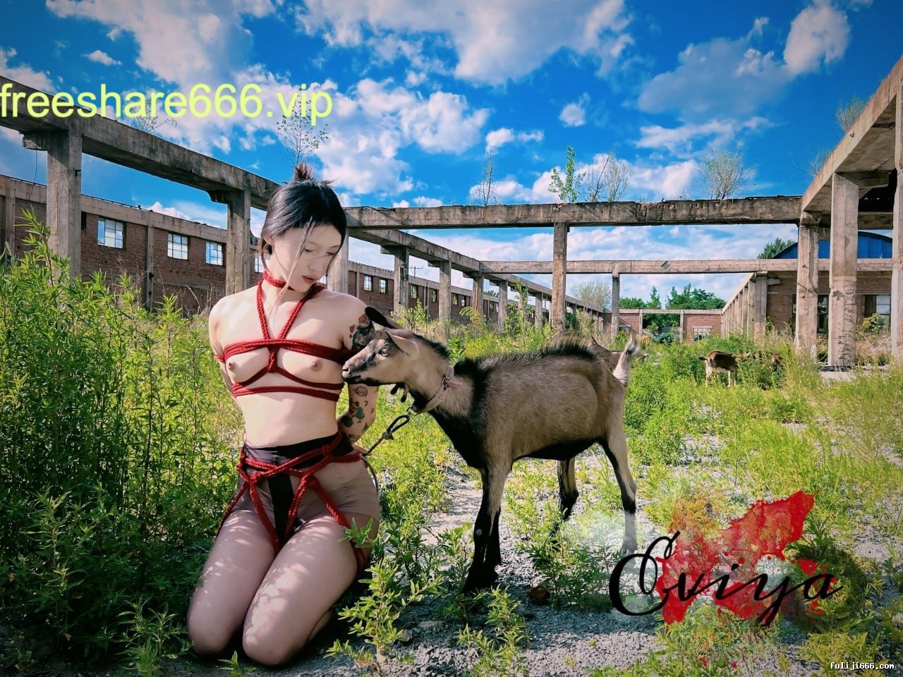 潇洒Gucci调教超强女奴训调一字马喷水26V/37P/704M