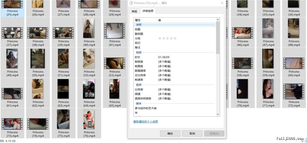 韩国TS Princess合集28V/5.8G