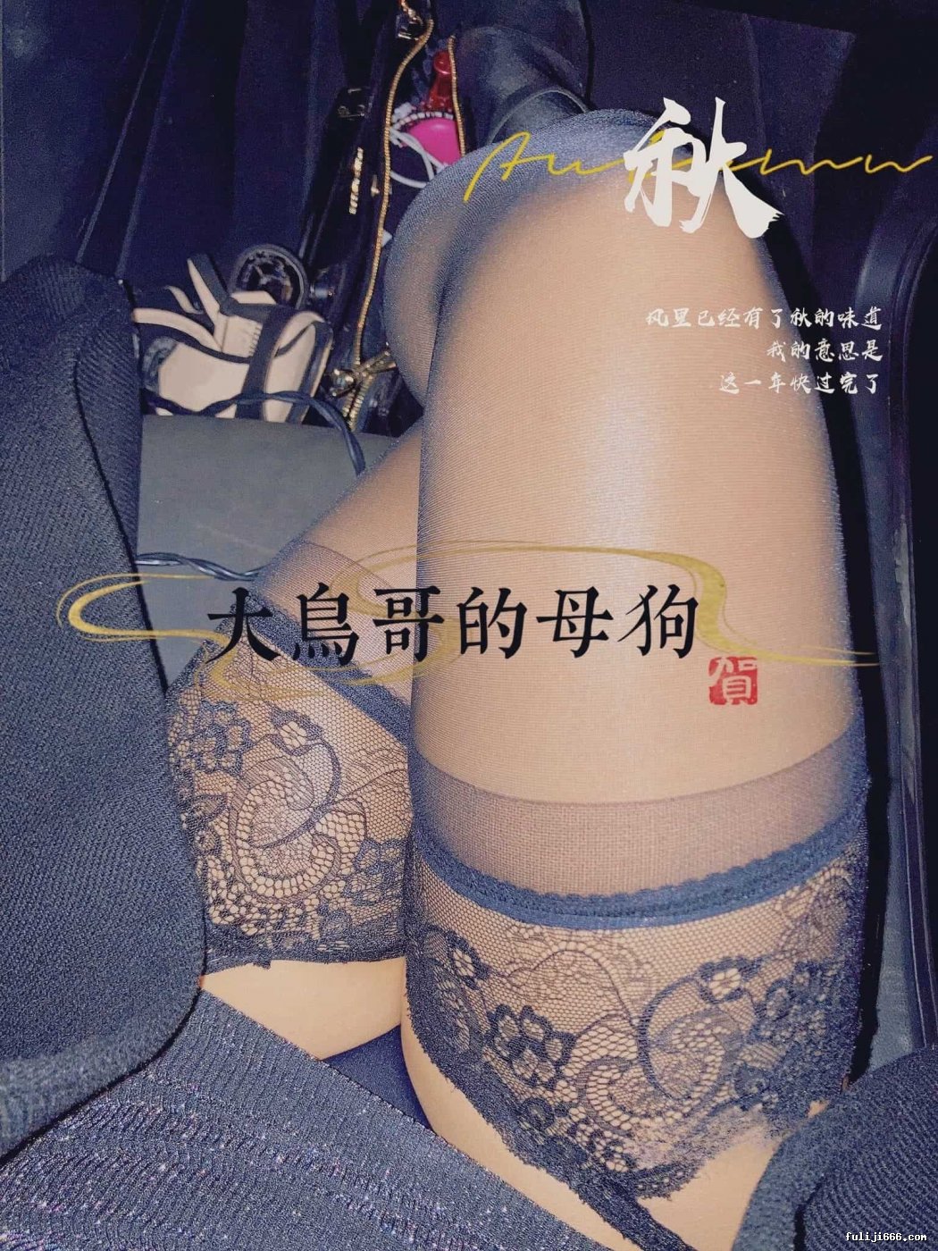 大鸟哥的母狗啪啪调教217V/72P/1.3G